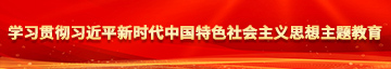 逼特逼骚学习贯彻习近平新时代中国特色社会主义思想主题教育